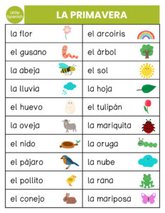 LaPrimavera vocabulary