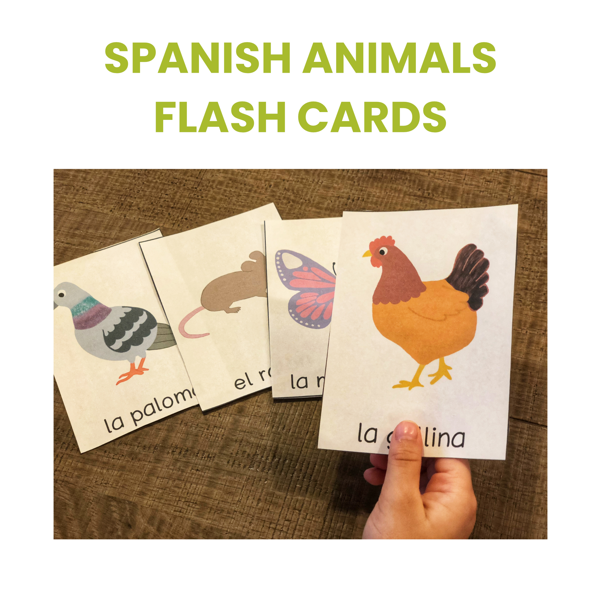 Animals Common Words In Spanish Flashcards Little Spanish