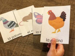 Animals in spanish vocabulary