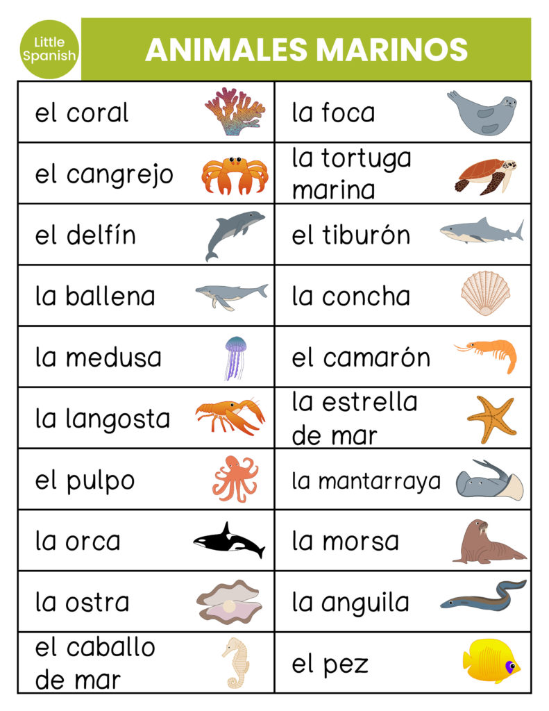 Sea Animals in spanish vocabulary
